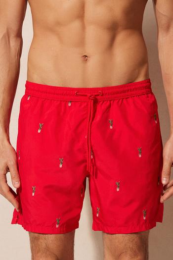 Intimssimi Embroidered Cactus Swim Trunks Print | SILNY45132