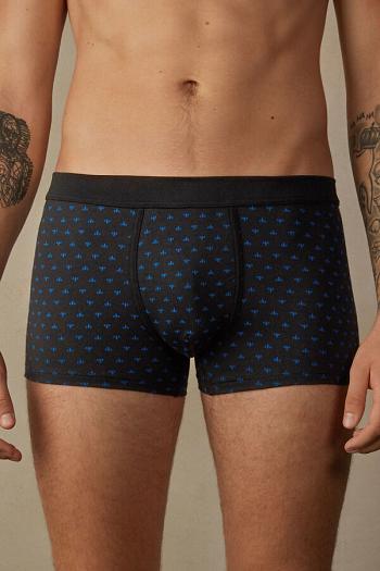 Intimssimi Lily Boxers in Stretch Supima® Cotton Black | TILWZ89525