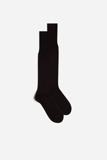 Intimssimi Tall Sateen Egyptian Cotton Socks Brown | TILPQ13972