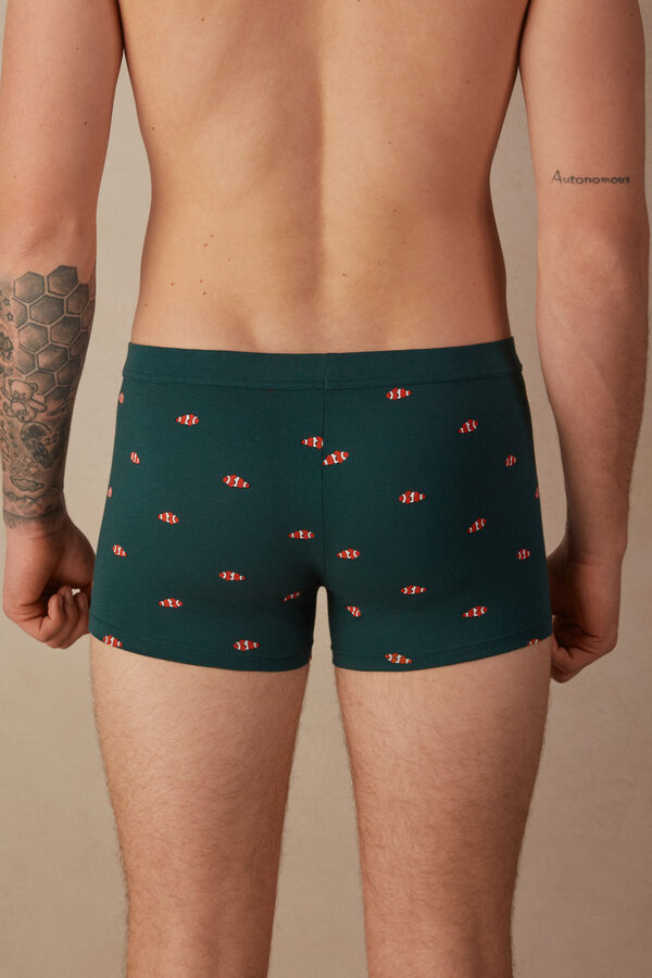 Intimssimi Clownfish Boxers in Natural Fresh Supima® Cotton Green | PILQX27147