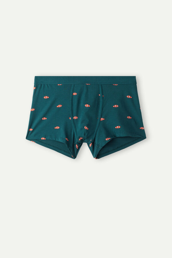 Intimssimi Clownfish Boxers in Natural Fresh Supima® Cotton Green | PILQX27147