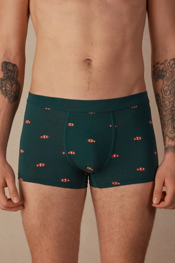 Intimssimi Clownfish Boxers in Natural Fresh Supima® Cotton Green | PILQX27147