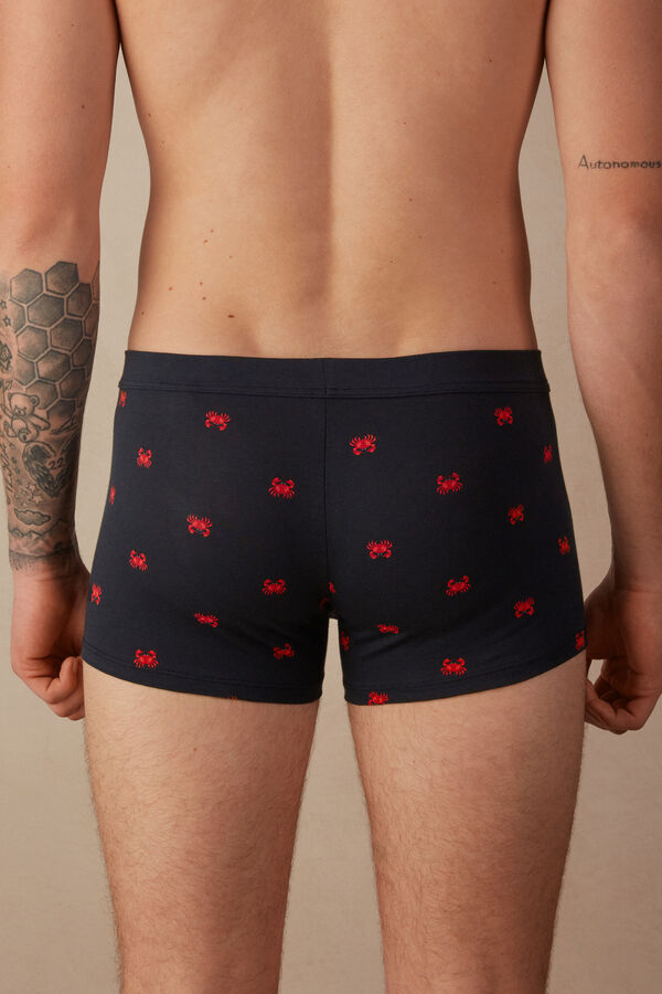 Intimssimi Crab Boxers in Natural Fresh Supima® Cotton Blue | SILNY68643