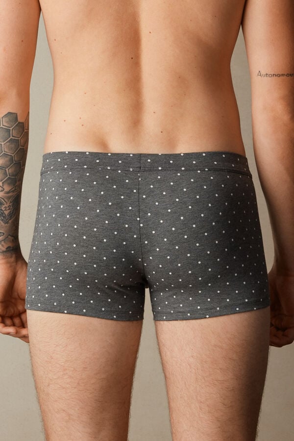 Intimssimi Dotted Boxers in Stretch Supima® Cotton Grey | BILSD35688