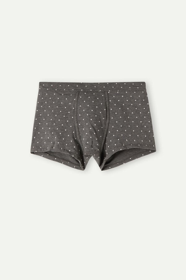 Intimssimi Dotted Boxers in Stretch Supima® Cotton Grey | BILSD35688