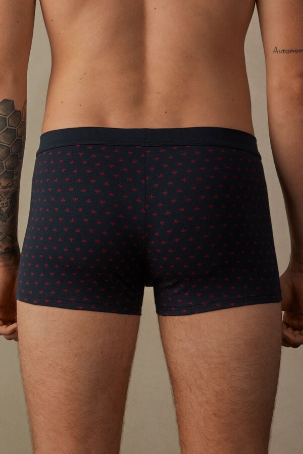 Intimssimi Lily Boxers in Stretch Supima® Cotton Blue | FILHY76231