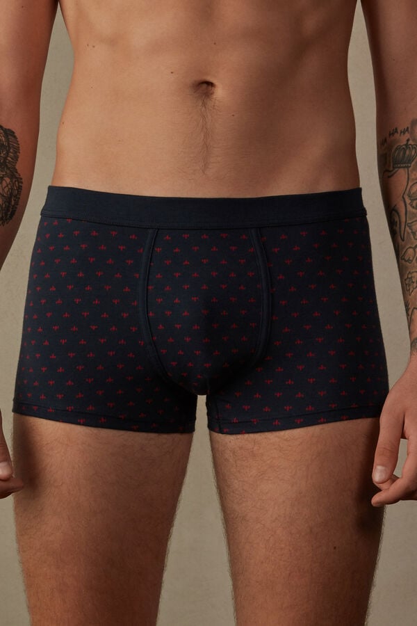 Intimssimi Lily Boxers in Stretch Supima® Cotton Blue | FILHY76231