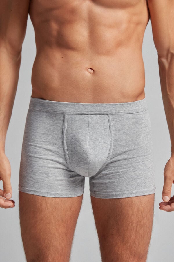 Intimssimi Supima® Cotton Loose Fit Boxers Grey | AILWC86951