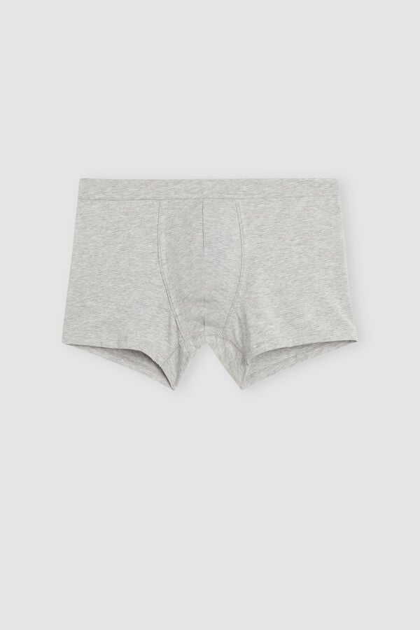 Intimssimi Supima® Cotton Loose Fit Boxers Grey | AILWC86951