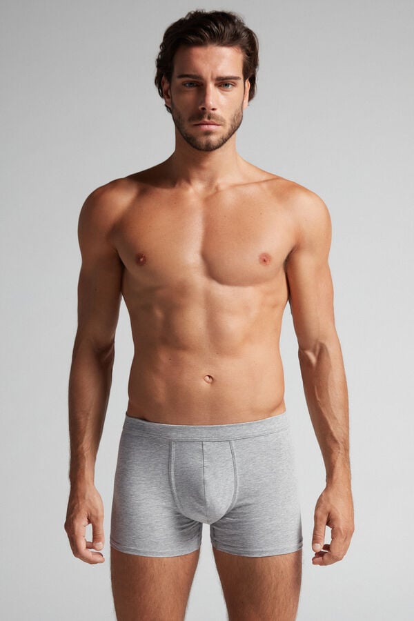 Intimssimi Supima® Cotton Loose Fit Boxers Grey | AILWC86951